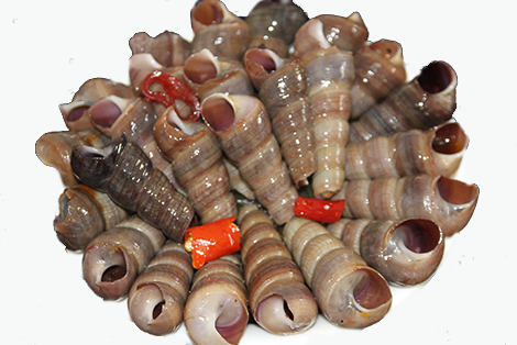 Spicy snail