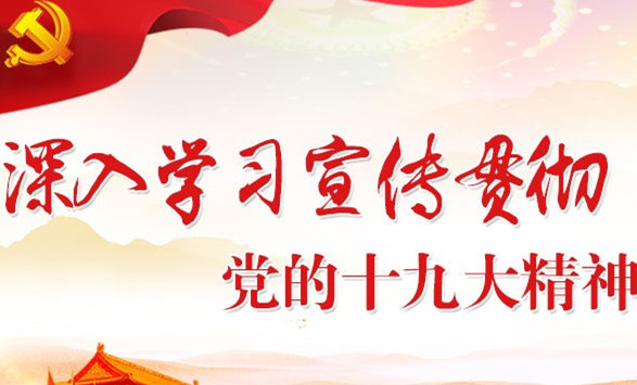 以習近平同志為核心的黨中央團結帶領全黨全軍全國各族人民貫徹落實黨的十九大精神紀實